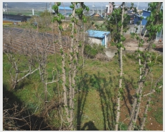  2019Ÿ��51406 ���� ��õ�� �ط�� ���ո� 273      ����(��1)���