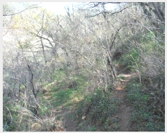  2019Ÿ��51406 ���� ��õ�� �ط�� ���ո� 273      ����(��1)���