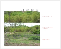  2019Ÿ52294  ʱ 굿 ޸ 490-2      ()