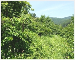  2019Ÿ53259    ߻긮 1086      (1)