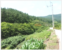  2019Ÿ53259    ߻긮 1086      (1)