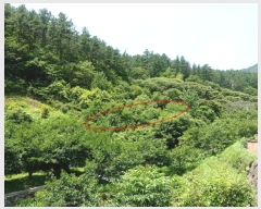  2019Ÿ53259    ߻긮 1086      (1)