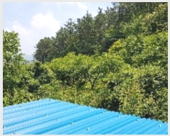  2019Ÿ53259    ߻긮 1086      (1)