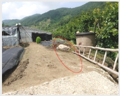  2019Ÿ��53433 ���� ��õ�� ������ �׻긮 7      ����(��)���