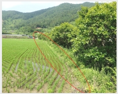  2019Ÿ��53433 ���� ��õ�� ������ �׻긮 7      ����(��)���