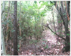  2019Ÿ��53433 ���� ��õ�� ������ �׻긮 7      ����(��)���