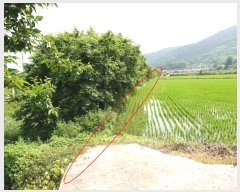  2019Ÿ��53433 ���� ��õ�� ������ �׻긮 7      ����(��)���