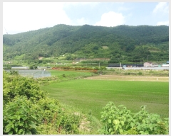  2019Ÿ��53433 ���� ��õ�� ������ �׻긮 7      ����(��)���