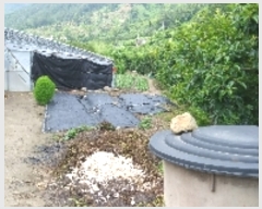  2019Ÿ��53433 ���� ��õ�� ������ �׻긮 7      ����(��)���