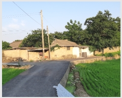  2019Ÿ��53617 ���� ����� Ȳ�浿 49-2       ����(����)���