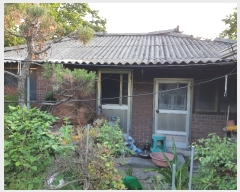  2019Ÿ��53617 ���� ����� Ȳ�浿 49-2       ����(����)���