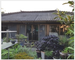  2019Ÿ��53617 ���� ����� Ȳ�浿 49-2       ����(����)���