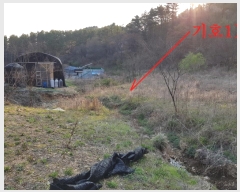  2019Ÿ��3085 ���� ���ֱ� �Ҿ�� �ؿ��� 154-1      ����(��1)���