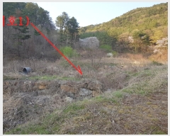  2019Ÿ��3085 ���� ���ֱ� �Ҿ�� �ؿ��� 154-1      ����(��1)���