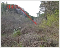  2019Ÿ��3085 ���� ���ֱ� �Ҿ�� �ؿ��� 154-1      ����(��1)���