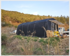  2019Ÿ��3085 ���� ���ֱ� �Ҿ�� �ؿ��� 154-1      ����(��1)���