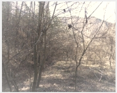  2019Ÿ��3085 ���� ���ֱ� �Ҿ�� �ؿ��� 154-1      ����(��1)���