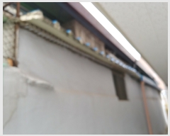  2019Ÿ��5784 ���� ���ֽ� ������ ���ϵ� 344-32      ���ð��