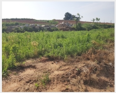  2019Ÿ5210   ˻굿 491-2       ()