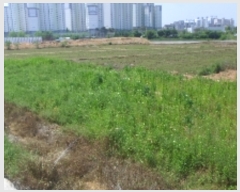  2019Ÿ5210   ˻굿 491-2       ()