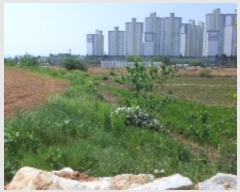  2019Ÿ5210   ˻굿 491-2       ()