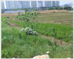  2019Ÿ5210   ˻굿 491-2       ()