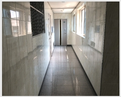  2019Ÿ3606   ۵ 786-10       ܵ,ð