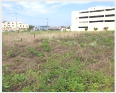  2019Ÿ��2385 ���� ������ ������ 369-32       ����(��1)���