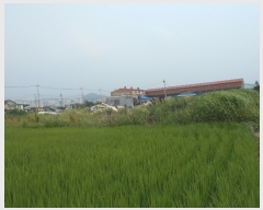  2019Ÿ3012   ҵ 47-172       ()