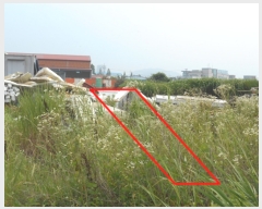  2019Ÿ3012   ҵ 47-172       ()