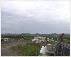  2019Ÿ3012   ҵ 47-172       ()