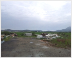  2019Ÿ3012   ҵ 47-172       ()