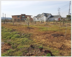  2019Ÿ30489  ξȱ ȸ ű⸮ 650-2      ()