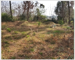  2019Ÿ30489  ξȱ ȸ ű⸮ 650-2      ()