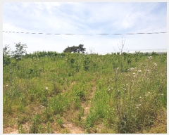  2019Ÿ��30878 ���� ��â�� ������ ������ 157      ����(��1)���