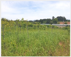  2019Ÿ��30878 ���� ��â�� ������ ������ 157      ����(��1)���