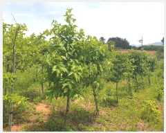  2019Ÿ��30878 ���� ��â�� ������ ������ 157      ����(��1)���