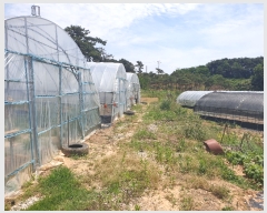  2019Ÿ��30878 ���� ��â�� ������ ������ 157      ����(��1)���