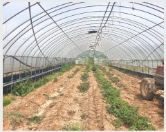  2019Ÿ��30878 ���� ��â�� ������ ������ 157      ����(��1)���