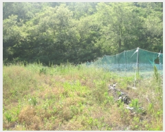  2019Ÿ��30939 ���� �ξȱ� ��ȭ�� ��ȭ�� ��73-20      ����(�Ӿ�)���