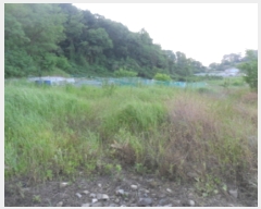  2019Ÿ��30939 ���� �ξȱ� ��ȭ�� ��ȭ�� ��73-20      ����(�Ӿ�)���