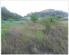  2019Ÿ��30939 ���� �ξȱ� ��ȭ�� ��ȭ�� ��73-20      ����(�Ӿ�)���