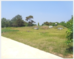  2019Ÿ31161  ξȱ ϼ ûȣ 68-81      (Ӿ)