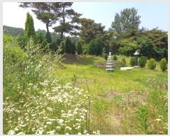  2019Ÿ31161  ξȱ ϼ ûȣ 68-81      (Ӿ)