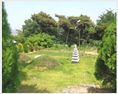  2019Ÿ31161  ξȱ ϼ ûȣ 68-81      (Ӿ)