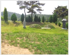  2019Ÿ31161  ξȱ ϼ ûȣ 68-81      (Ӿ)