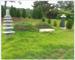  2019Ÿ31161  ξȱ ϼ ûȣ 68-81      (Ӿ)