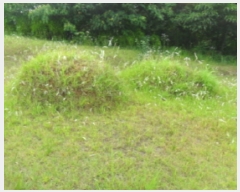  2019Ÿ31161  ξȱ ϼ ûȣ 68-81      (Ӿ)