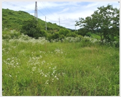  2019Ÿ��1255 ���� ������ ���� �� 550      ����(��1)���