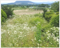  2019Ÿ��1255 ���� ������ ���� �� 550      ����(��1)���